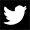 Twitter icon